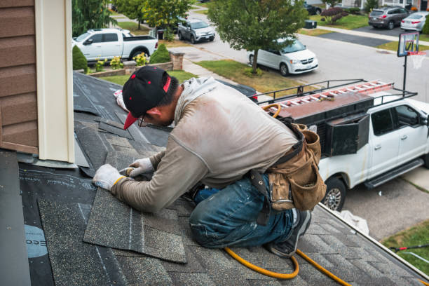 Professional Gutter Repair And Installation technician working in Plant City, FL